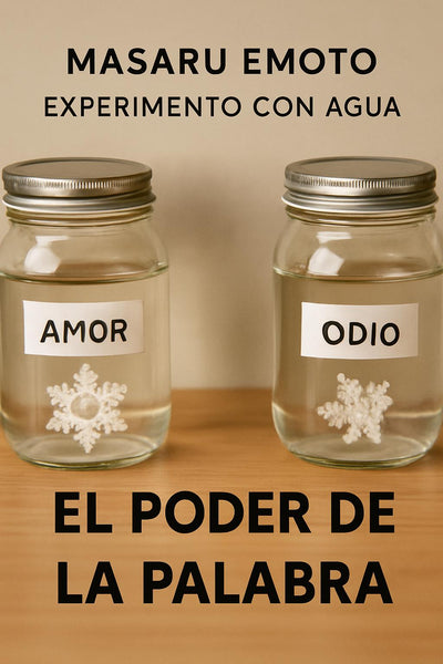 El poder de la palabra: cómo transformar tu realidad con intención
